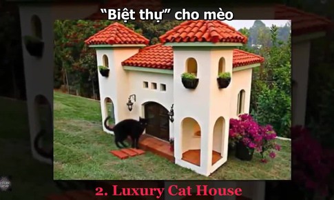 10 ng&#244;i nh&#224; xa hoa cho th&#250; cưng tr&#234;n thế giới