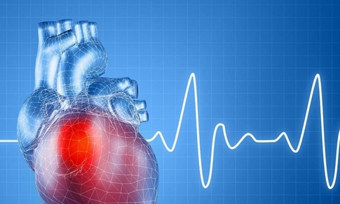 Dấu hiệu cảnh b&#225;o bạn n&#234;n đi kh&#225;m b&#225;c sĩ tim mạch ngay