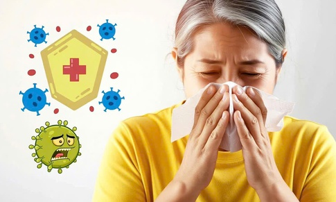 Người lớn tuổi dễ mắc bệnh khi giao mùa: cơ chế lão hóa nào đang âm thầm làm suy yếu sức đề kháng?