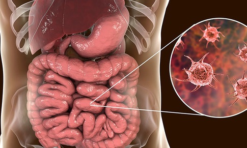 Câu hỏi thường gặp liên quan đến bệnh lỵ trực trùng