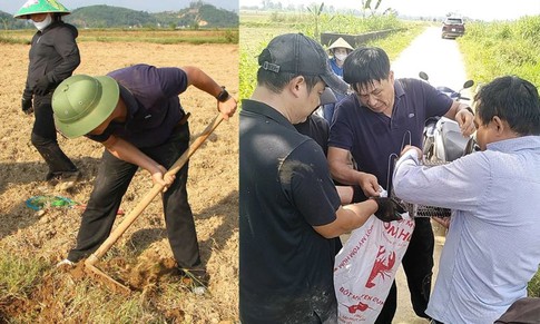 Bí thư, Chủ tịch xã xắn quần lội đồng đi bắt chuột cùng người dân