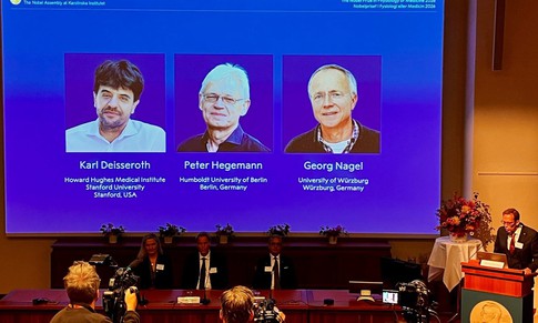 Nobel Y sinh 2026 vinh danh công nghệ dùng ánh sáng giải mã bí ẩn não bộ
