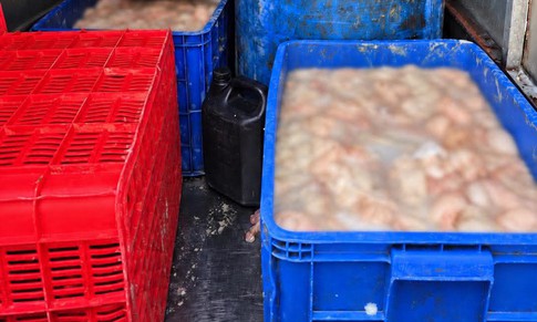 Ô tô chở 820kg lòng lợn bốc mùi hôi thối ở Phú Thọ