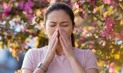 6 lưu ý phòng dị ứng phấn hoa mùa xuân để giảm nguy cơ tái phát