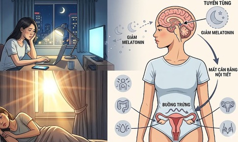 Thức đêm làm việc có thể phá vỡ nội tiết nữ ra sao?