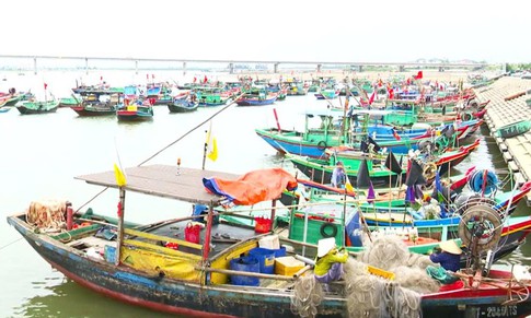 Rút ngắn chuyến biển, ngư dân Hà Tĩnh háo hức chờ ngày bỏ phiếu