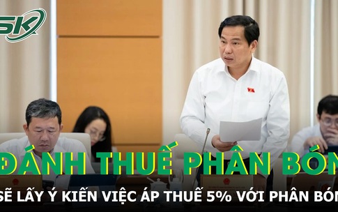 Nếu vẫn kh&#244;ng đ&#225;nh thuế với ph&#226;n b&#243;n sẽ kh&#244;ng bảo vệ được sản xuất trong nước?