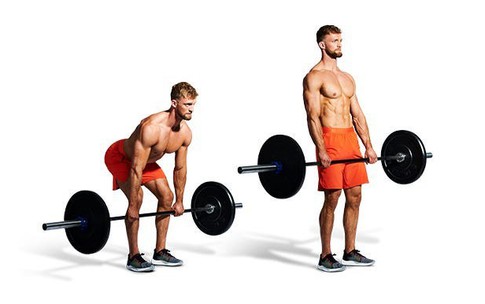 5 b&#224;i tập h&#224;ng ng&#224;y ngăn ngừa l&#227;o h&#243;a sau tuổi 50