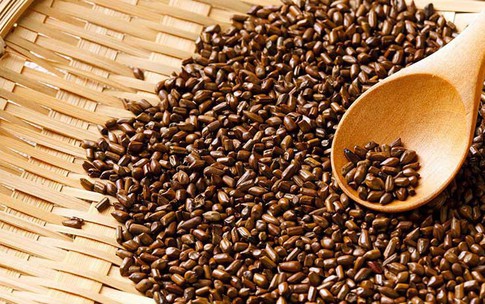 Hạt muồng chữa bệnh g&#236;?