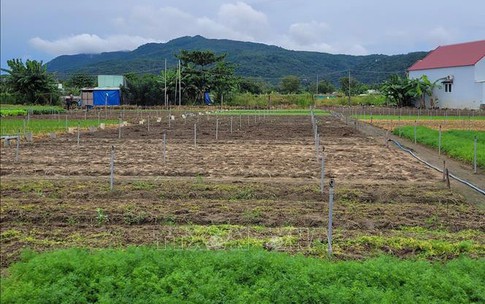 Mưa b&#227;o g&#226;y thiếu hụt rau củ, TP Hồ Ch&#237; Minh tăng dự trữ, mở rộng nguồn cung