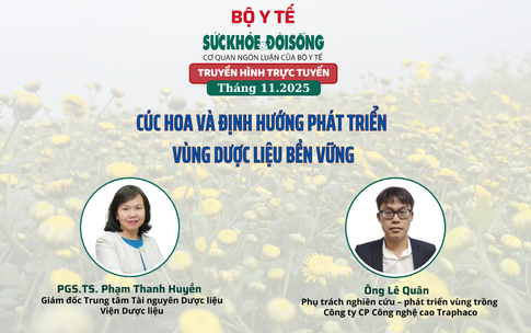 Truyền h&#236;nh trực tuyến: C&#250;c hoa v&#224; định hướng ph&#225;t triển v&#249;ng dược liệu bền vững