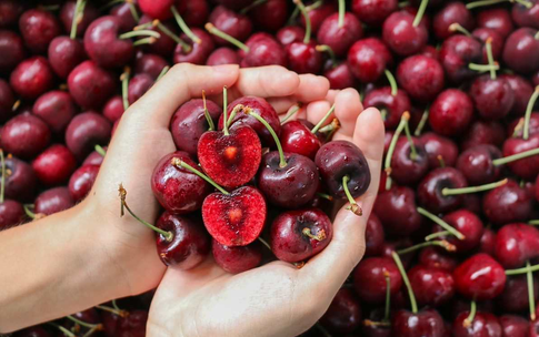 4 loại tr&#225;i c&#226;y gi&#224;u vitamin C gi&#250;p đ&#224;o thải axit uric