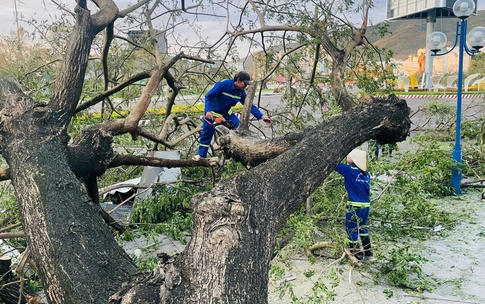 Quy Nhơn tan hoang sau b&#227;o số 13: Trụ đ&#232;n g&#227;y đổ cả loạt, nhiều ng&#244;i nh&#224; tốc m&#225;i
