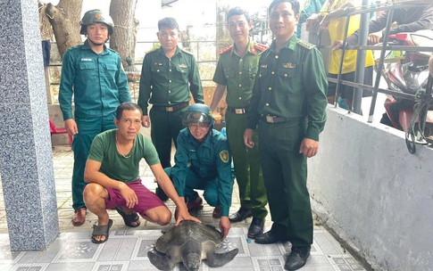 Ngư d&#226;n trao trả đồi mồi dứa qu&#253; hiếm về với biển