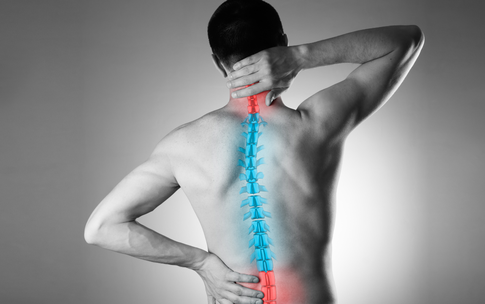 Giải pháp dinh dưỡng phòng ngừa và kiểm soát loãng xương