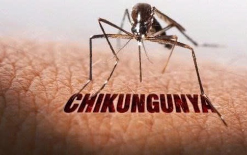 Bệnh Chikungunya từng lưu hành ở Việt Nam, TPHCM nguy cơ tái xuất cao