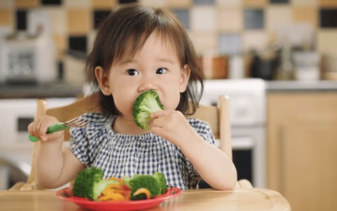 Vai tr&#242; của dinh dưỡng trong 1.000 ng&#224;y đầu đời: Nền tảng cho sự ph&#225;t triển to&#224;n diện của b&#224; mẹ v&#224; trẻ nhỏ