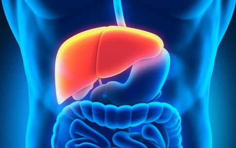 Cảnh giác với suy gan cấp