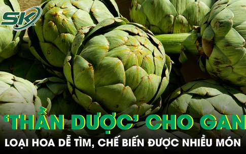 Loại hoa được ví như 'thần dược' cho gan, chế biến được nhiều món ngon