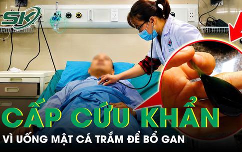 Cấp cứu sau khi uống mật cá trắm cùng rượu để bổ gan