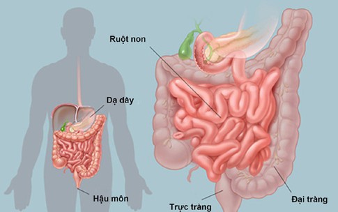5 sai lầm khi chăm sóc người cao tuổi bị khó tiêu kéo dài