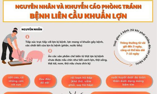 Ngành Y tế khuyến cáo thay đổi thói quen ăn uống để phòng liên cầu lợn