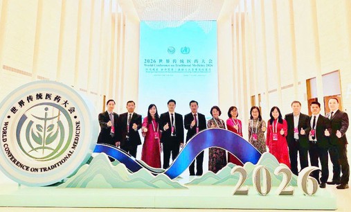 Đoàn Đại biểu Bộ Y tế Việt Nam tham dự Đại hội y dược cổ truyền thế giới năm 2026, thúc đẩy hợp tác và hội nhập quốc tế