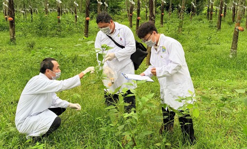 Những người đi trước hiểm họa...