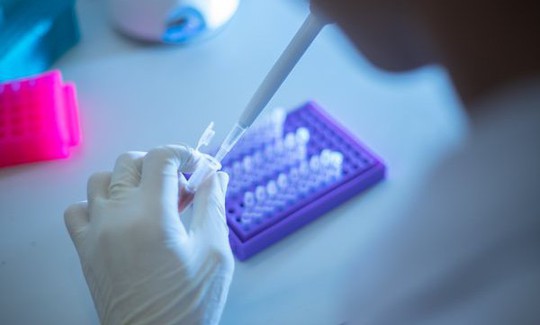 Hà Nội tăng cường thu thập mẫu để giải trình tự gene tìm biến chủng mới