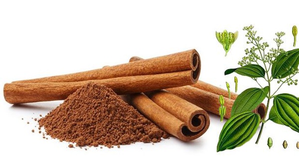 10 lợi ích bất ngờ của quế