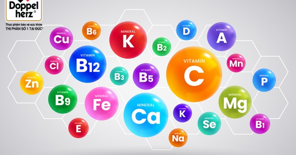 Nhóm vitamin B (B3, B6, B9, B12) đóng vai trò gì trong cơ thể?

