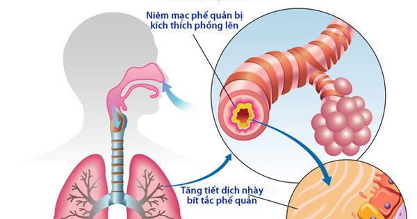 Lá hẹ có tác dụng gì đối với hệ thống đường hô hấp?
