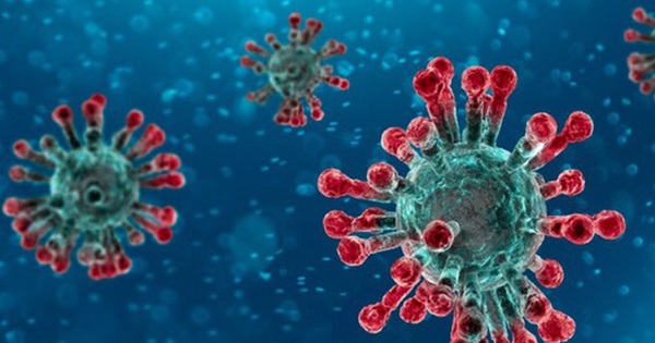Virus cúm và virus hợp bào hô hấp là gì?

