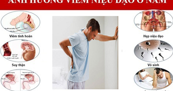 Viêm niệu đạo có thể lan sang các cơ quan khác trong cơ thể không?
