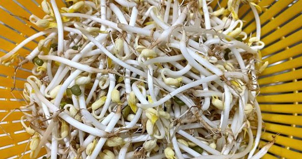 Nếu bạn thích ăn giá đỗ mà không biết cách ủ giá thì phải đọc ngay Nếu Bạn Thích Ăn Giá Đỗ Mà Không Biết Cách Ủ Giá Thì Phải Đọc Ngay