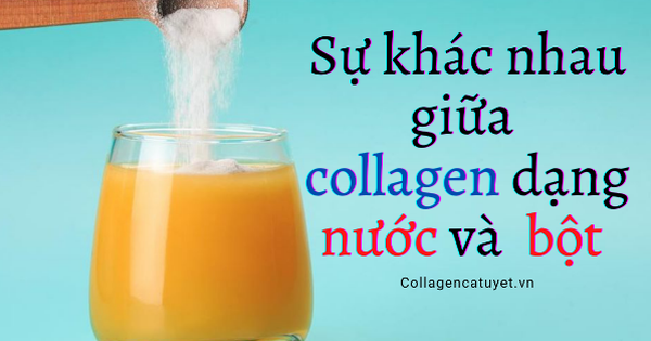 Cách sử dụng collagen dạng bột như thế nào?
