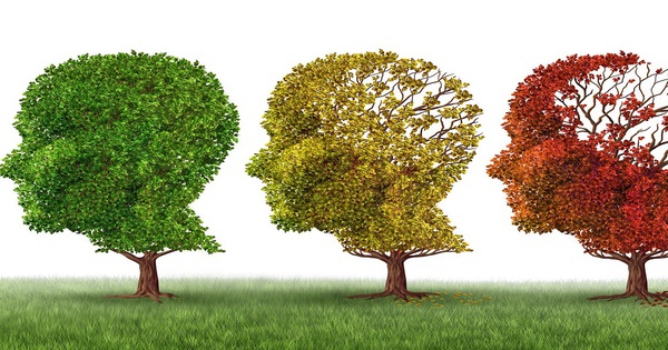 Tất cả những gì bạn cần biết về phòng bệnh alzheimer 