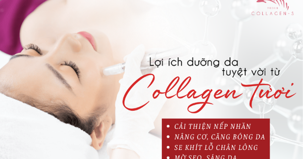 Collagen tươi có phù hợp cho tất cả loại da không?
