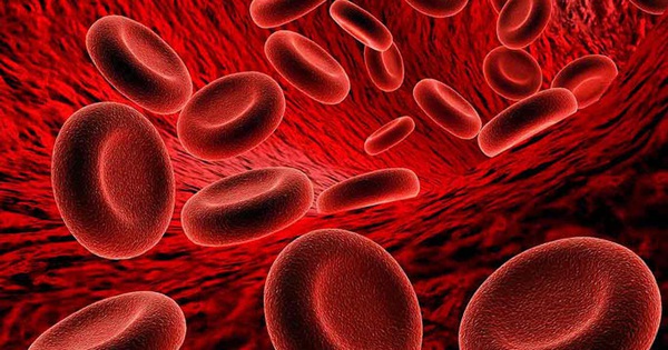 Thiếu máu có thể gây ra những vấn đề sức khỏe nào nếu không được điều trị?
