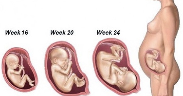 Các dấu hiệu bất thường khi mang thai 3 tháng giữa Phổ biến và cách xử lý