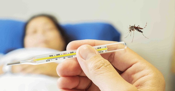 Các triệu chứng của bệnh sốt xuất huyết là gì?
