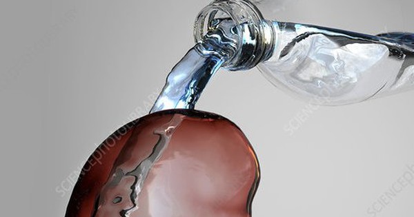 Mối liên hệ giữa việc uống nước và sức khỏe thận?

