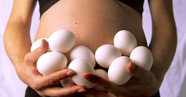 Trứng gà và trứng ngỗng khác nhau như thế nào về dinh dưỡng? 
