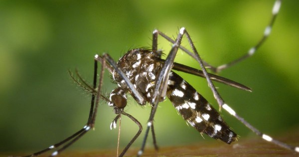 Có nên sử dụng bảo vệ đối với việc quan hệ tình dục khi mắc bệnh sốt xuất huyết? 
