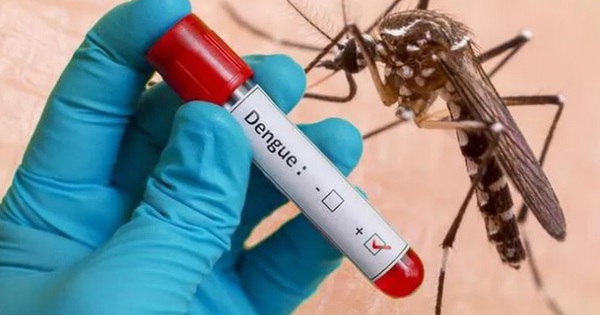Làm thế nào để phòng ngừa bệnh sốt xuất huyết?
