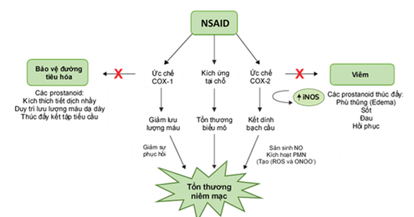 7. Các Biến Chứng Của Loét Dạ Dày Do NSAID