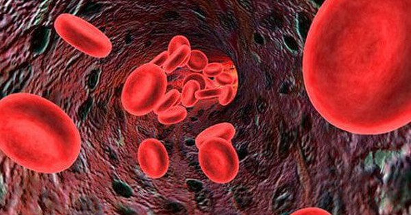 Có những loại máu khó đông nào đặc biệt phổ biến ở người? 
