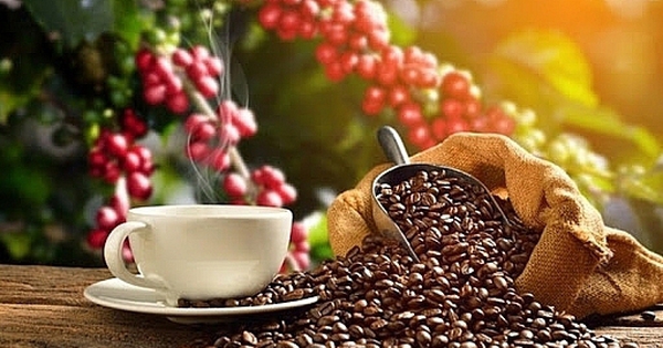 Uống cafe có ảnh hưởng gì đến nguy cơ mắc bệnh gout?
