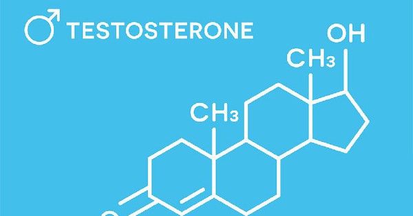 Vai trò của testosterone trong quá trình biệt hóa sinh dục là gì?
