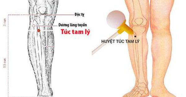 Huyệt Túc Tam Lý có tác dụng gì trong y học cổ truyền?
